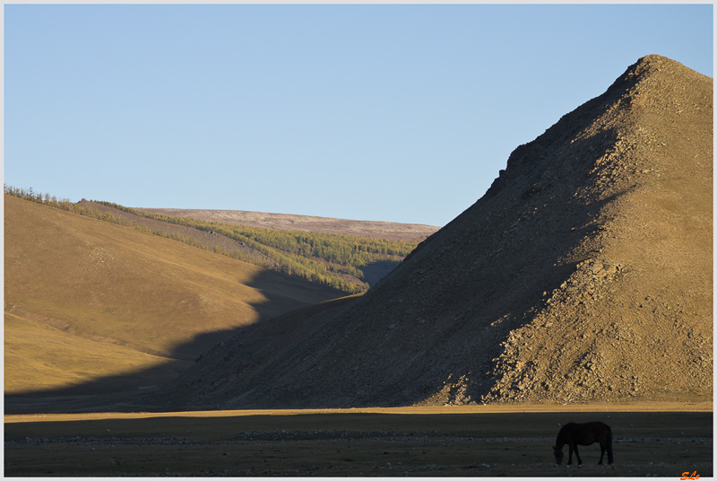 Parc de Khokh Nuur - Camp de Nomade ( IMGP1159 )