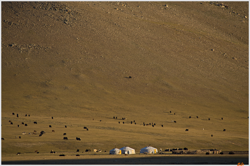 Parc de Khokh Nuur - Camp de Nomade ( IMGP1161 )