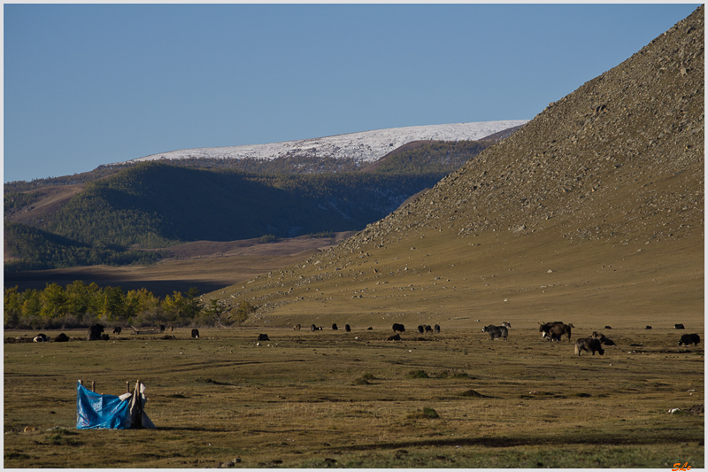 Parc de Khokh Nuur - Camp de Nomade ( IMGP1196 )