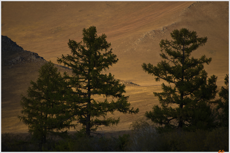 Parc National de Khokh Nuur ( IMGP1491 )