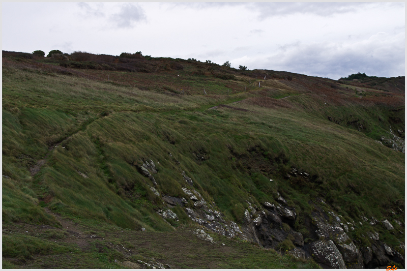 Pointe du Grouin ( _IGP2601 )
