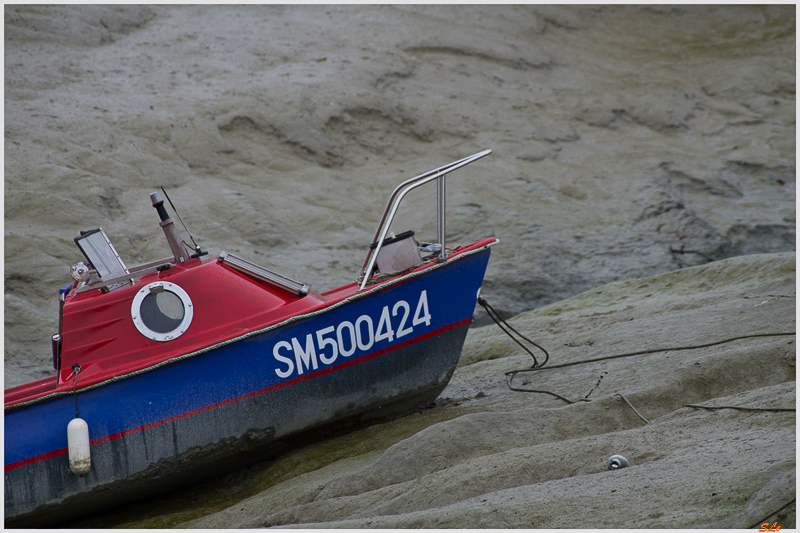 Près de Cancale ( _IGP2624 )