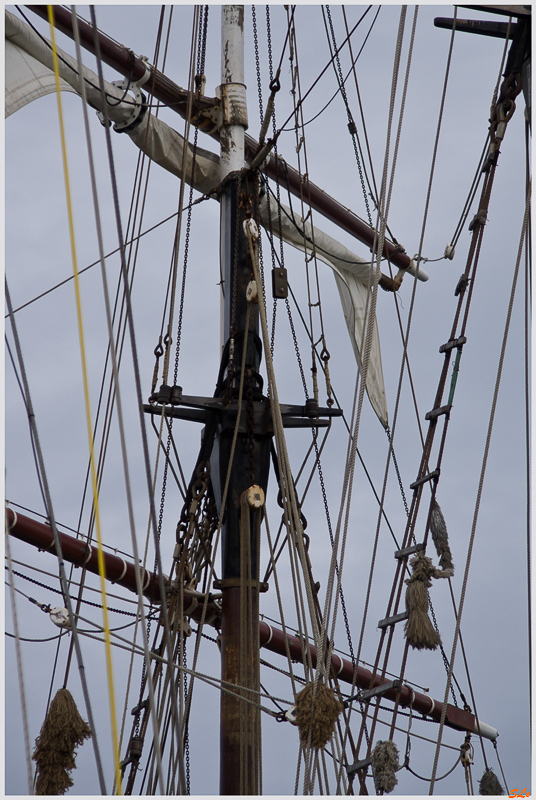 Bel espoir ( _IGP2696 )