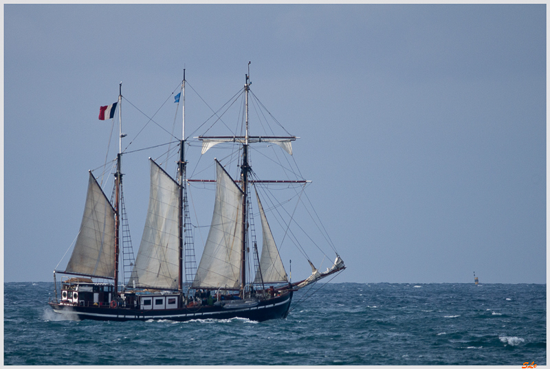Saint Malo - Le bel espoir ( _IGP2720 )