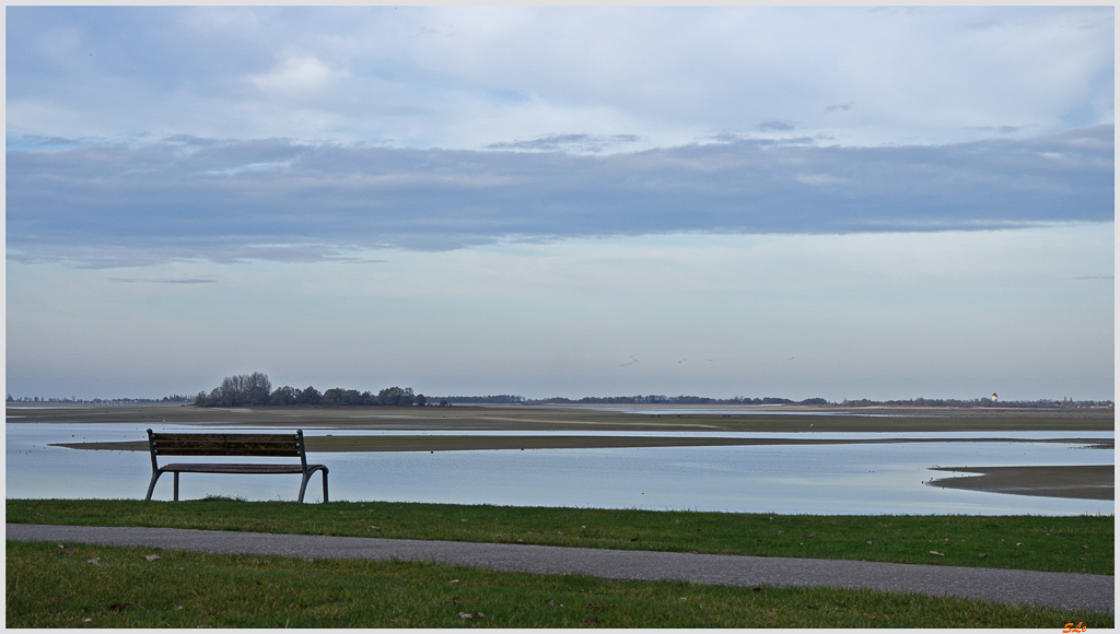 Lac du Der ( _IGP3118 )