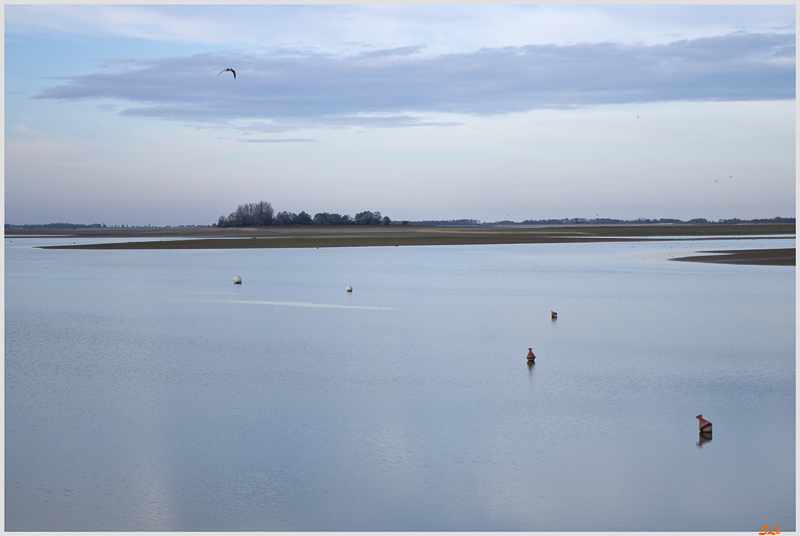 Lac du Der ( _IGP3121 )
