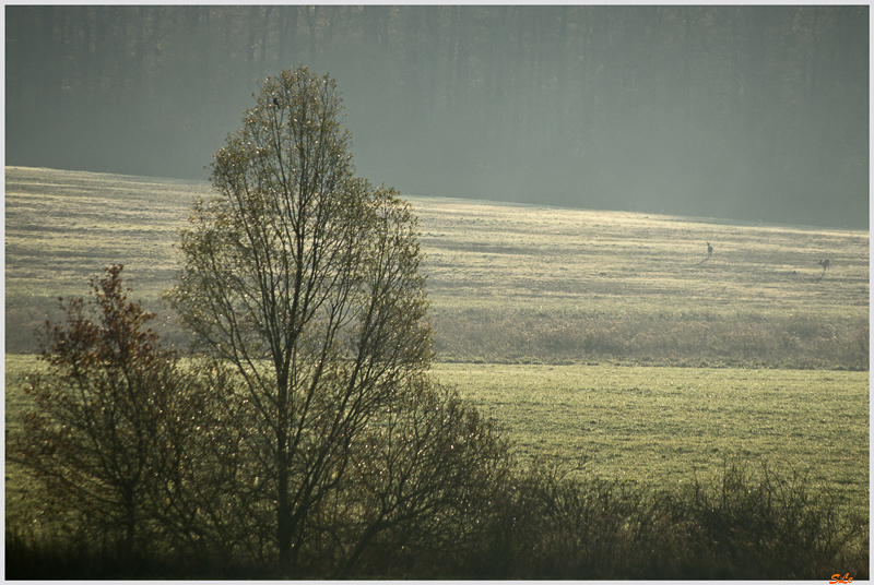 La ferme aux Grues ( _IGP3158 )