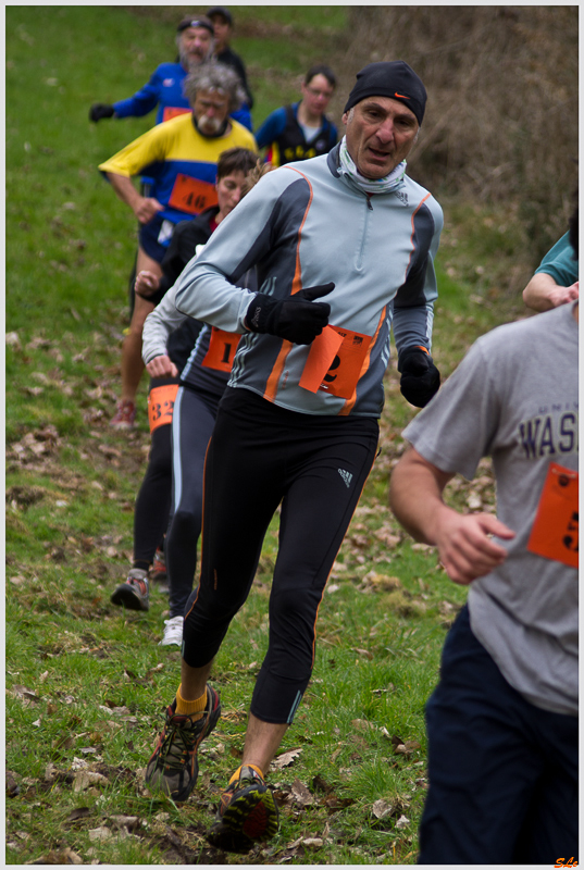  ( _IGP3631 )