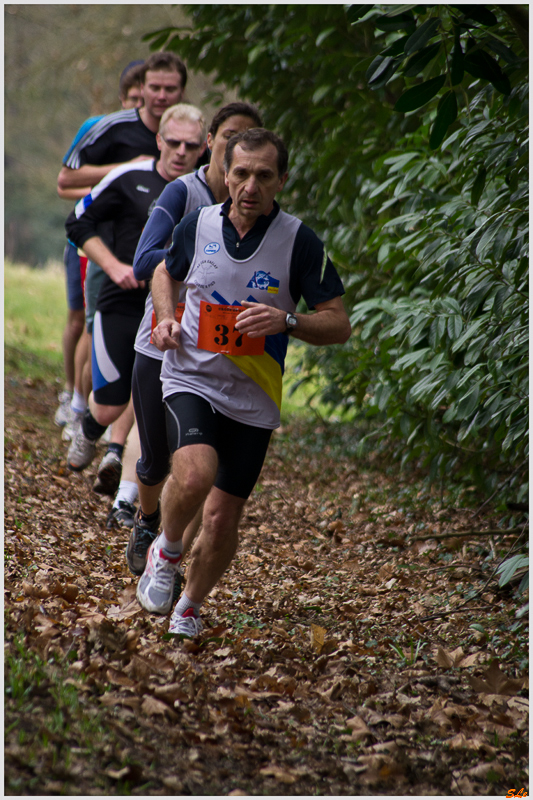  ( _IGP3658 )