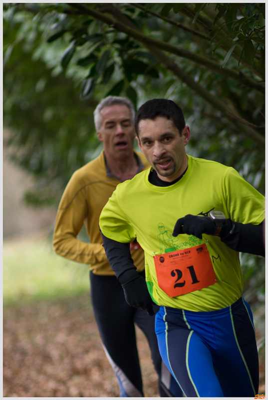  ( _IGP3755 )