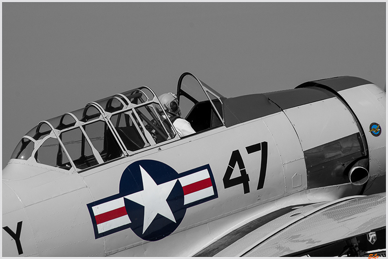 T-6 Texan ( _IGP6111 )