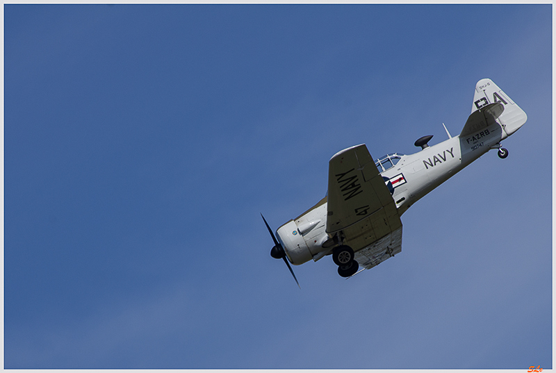T-6 Texan ( _IGP6130 )
