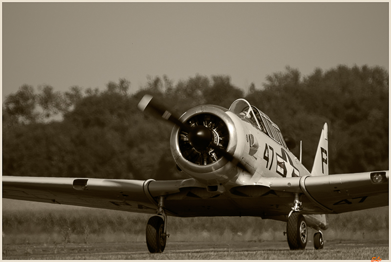 T-6 Texan ( _IGP6133 )