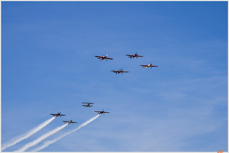 Free Fly au complet ( _IGP6234 )