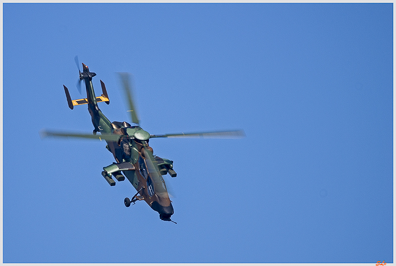 Tigre ( _IGP6269 )