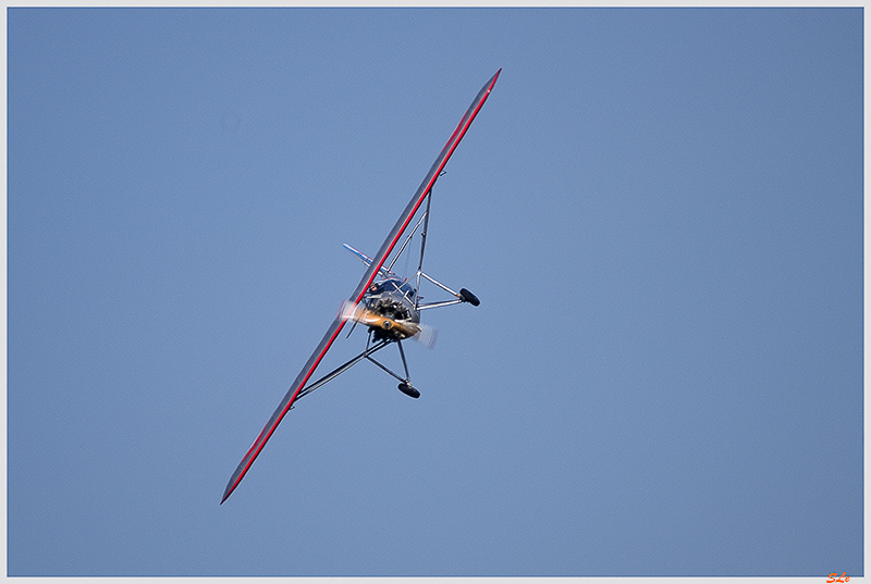 Maurane MS-317 ( _IGP6340 )