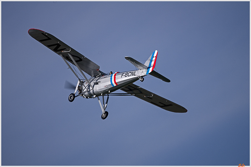 Maurane MS-317 ( _IGP6344 )