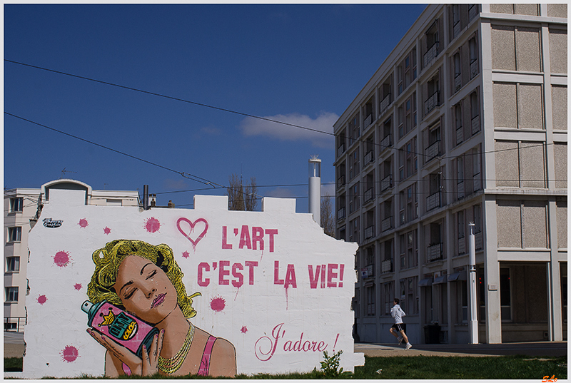 Fresque près de la plage ( _IGP8841 )