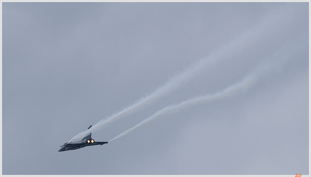 RAFALE - DASSAULT ( _IGP9173 )