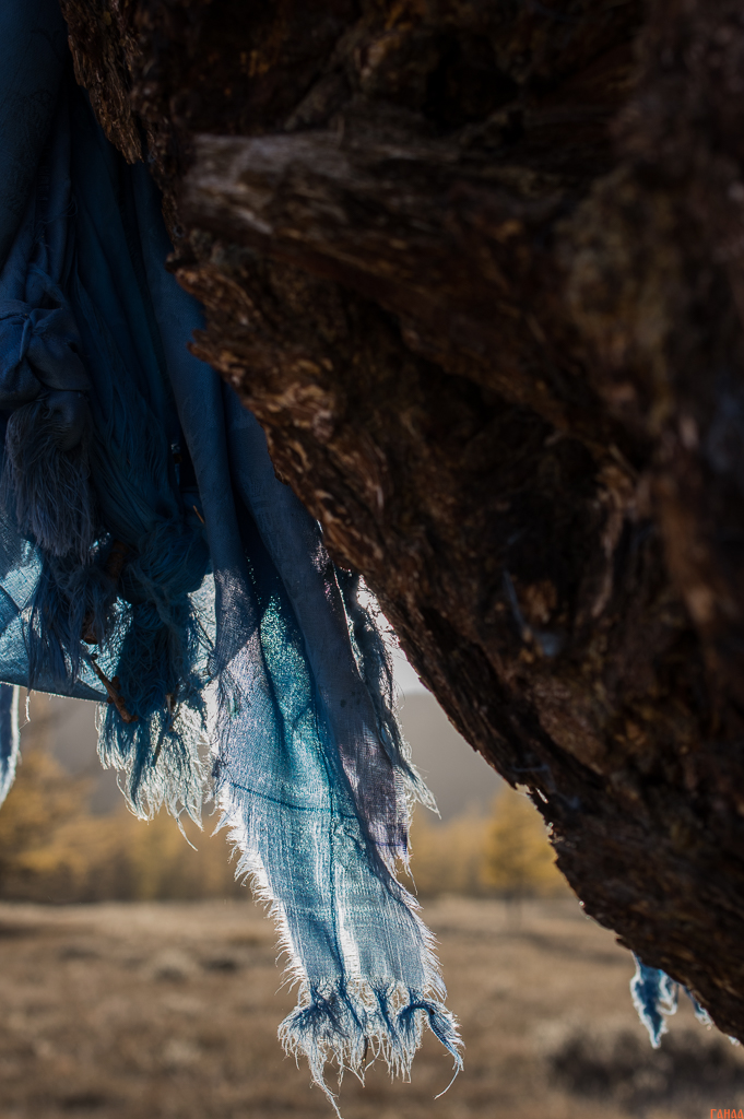  ( _IMG7820 )