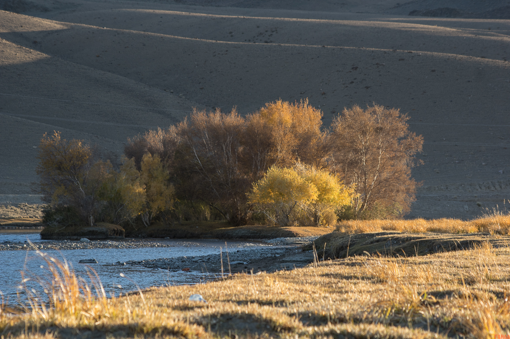  ( _IMG8688 )