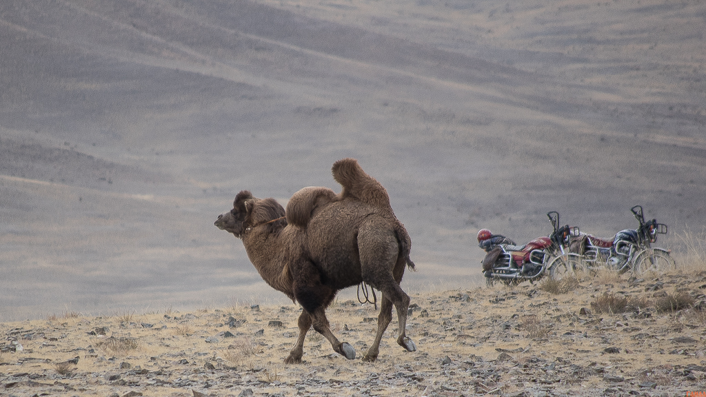  ( _IMG8718 )