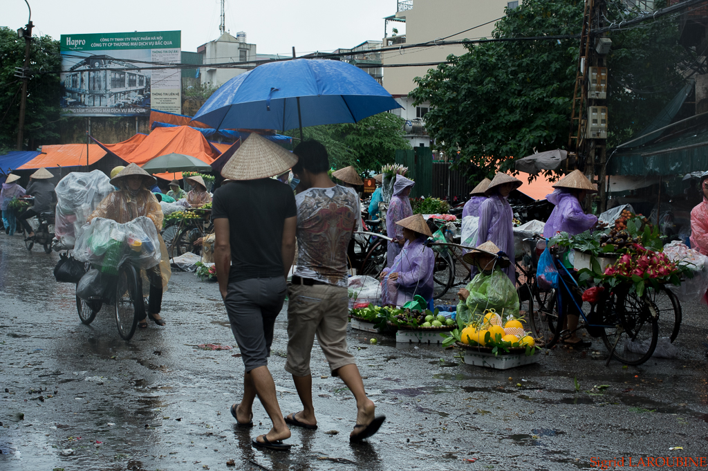 Le marché - Chợ Đồng Xuân ( _IMG3944 )