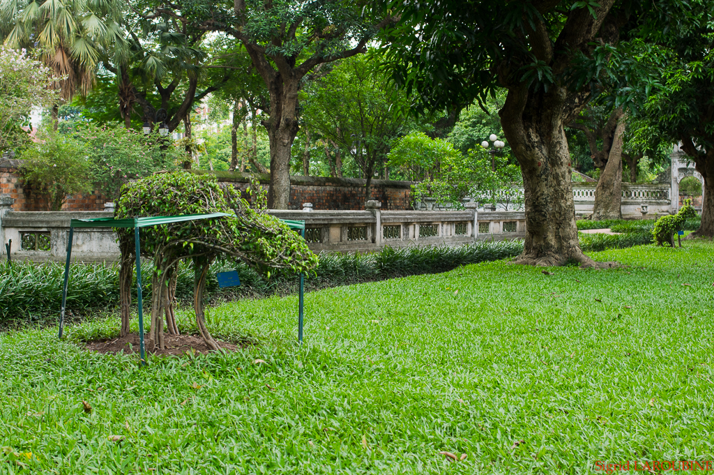 Le temple de la Littérature -Văn Miếu-Quốc Tử Giám ( _IMG4298 )