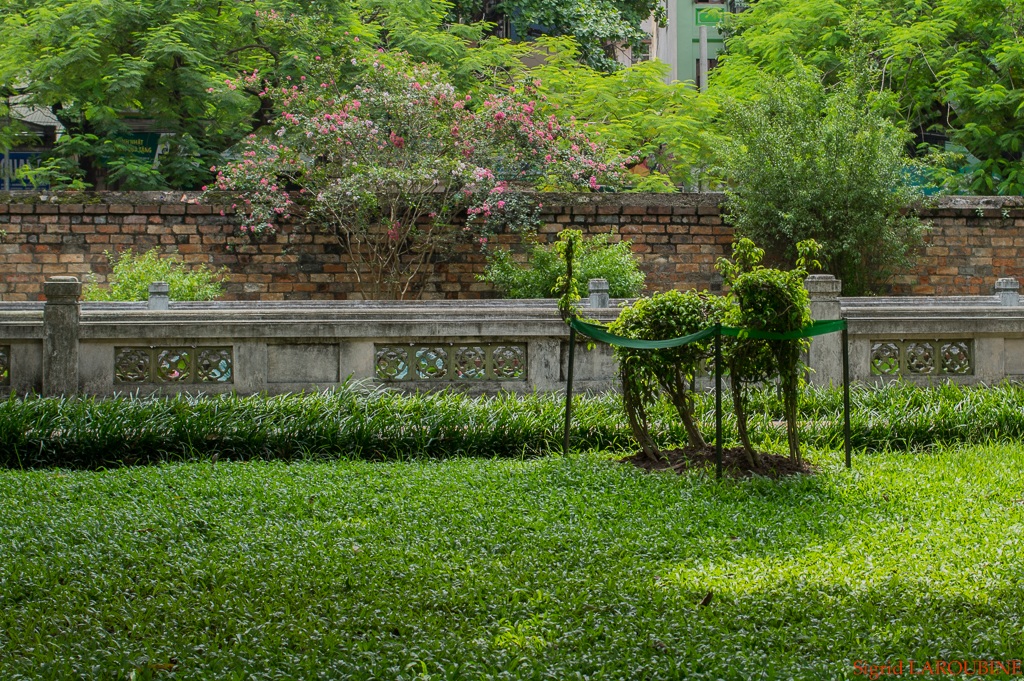 Le temple de la Littérature -Văn Miếu-Quốc Tử Giám ( _IMG4301 )