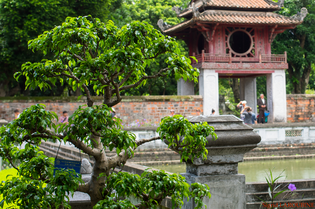 Le temple de la Littérature -Văn Miếu-Quốc Tử Giám ( _IMG4308 )