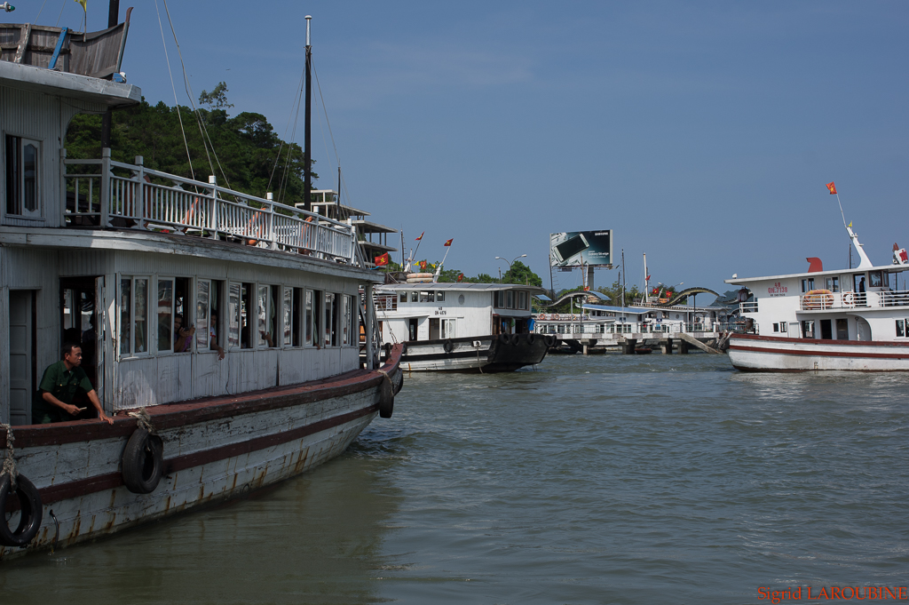 baie d'Hạ Long - Vịnh Hạ Long ( _IMG5125 )