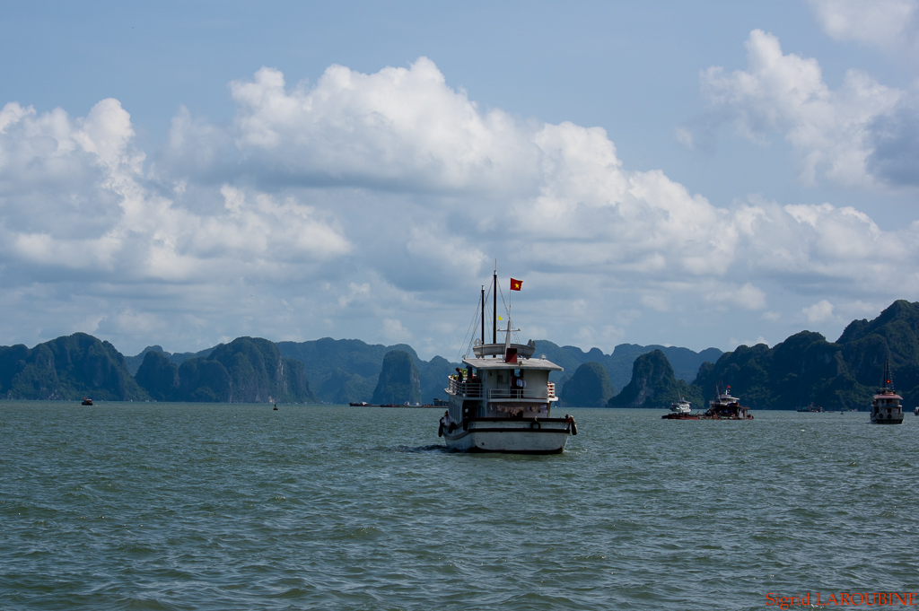 baie d'Hạ Long - Vịnh Hạ Long ( _IMG5126 )