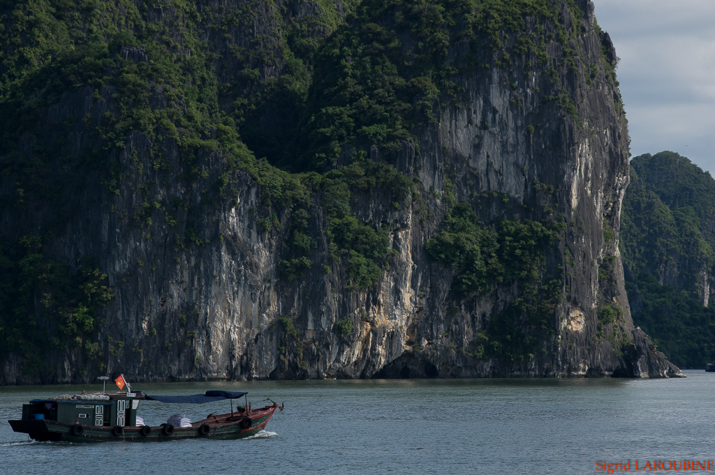 baie d'Hạ Long - Vịnh Hạ Long ( _IMG5150 )