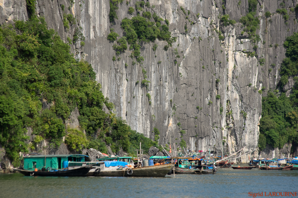 baie d'Hạ Long - Vịnh Hạ Long ( _IMG5163 )