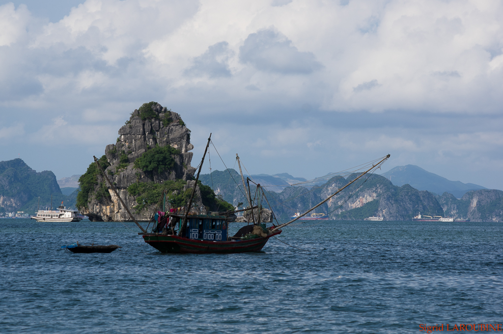 baie d'Hạ Long - Vịnh Hạ Long ( _IMG5179 )