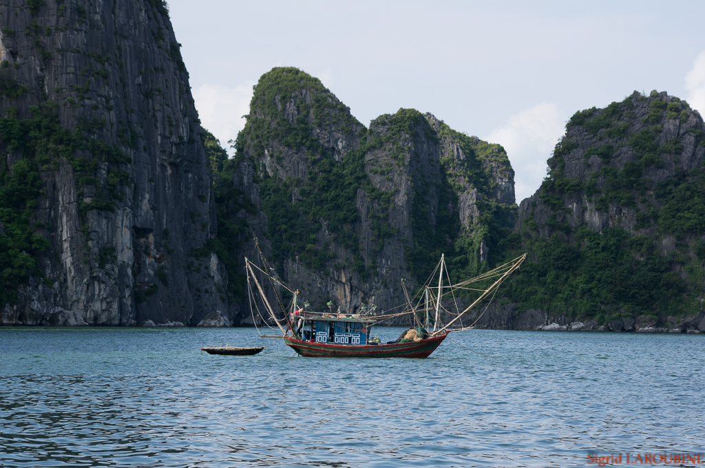 baie d'Hạ Long - Vịnh Hạ Long ( _IMG5183 )