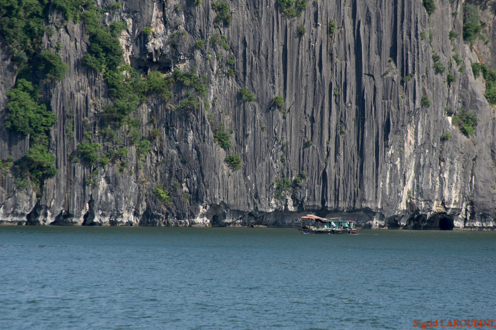 baie d'Hạ Long - Vịnh Hạ Long ( _IMG5189 )