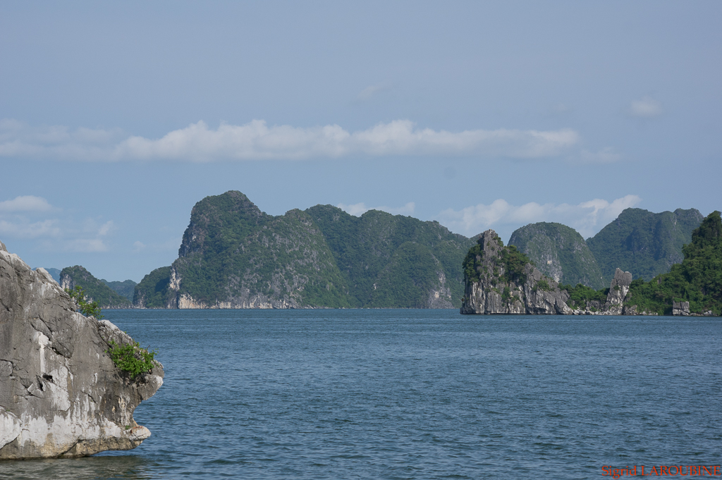 baie d'Hạ Long - Vịnh Hạ Long ( _IMG5190 )