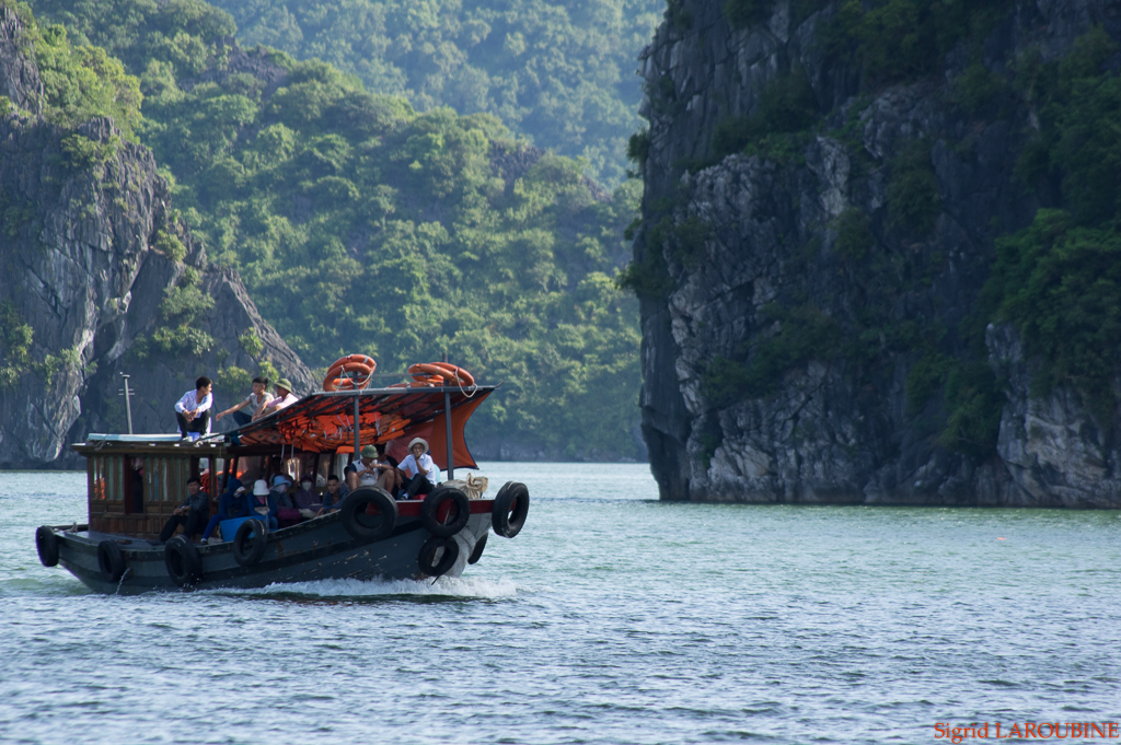 baie d'Hạ Long - Vịnh Hạ Long ( _IMG5213 )