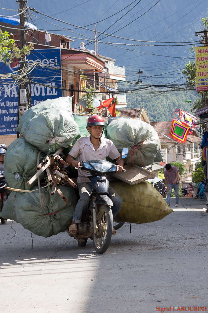 Sapa ( _IMG5275 )