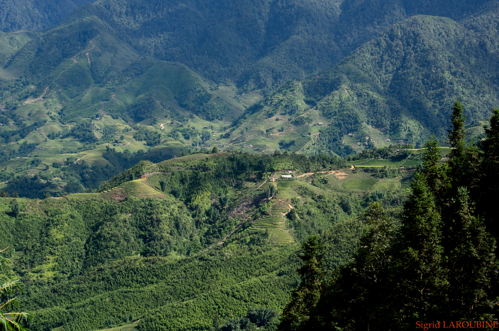 Sapa ( _IMG5278 )