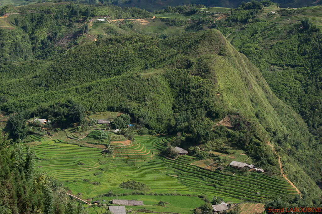 Sapa ( _IMG5283 )