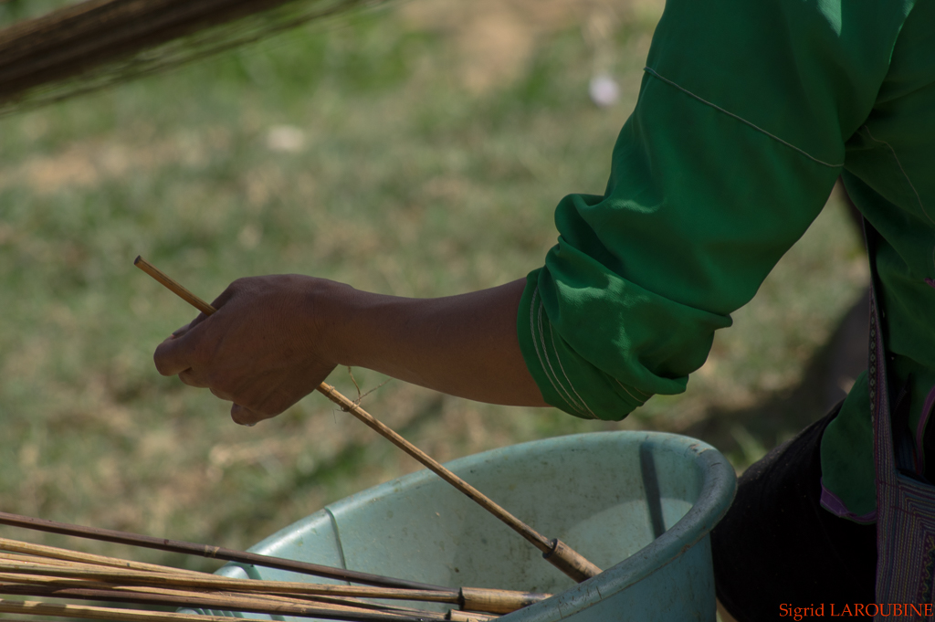 Sapa ( _IMG5305 )