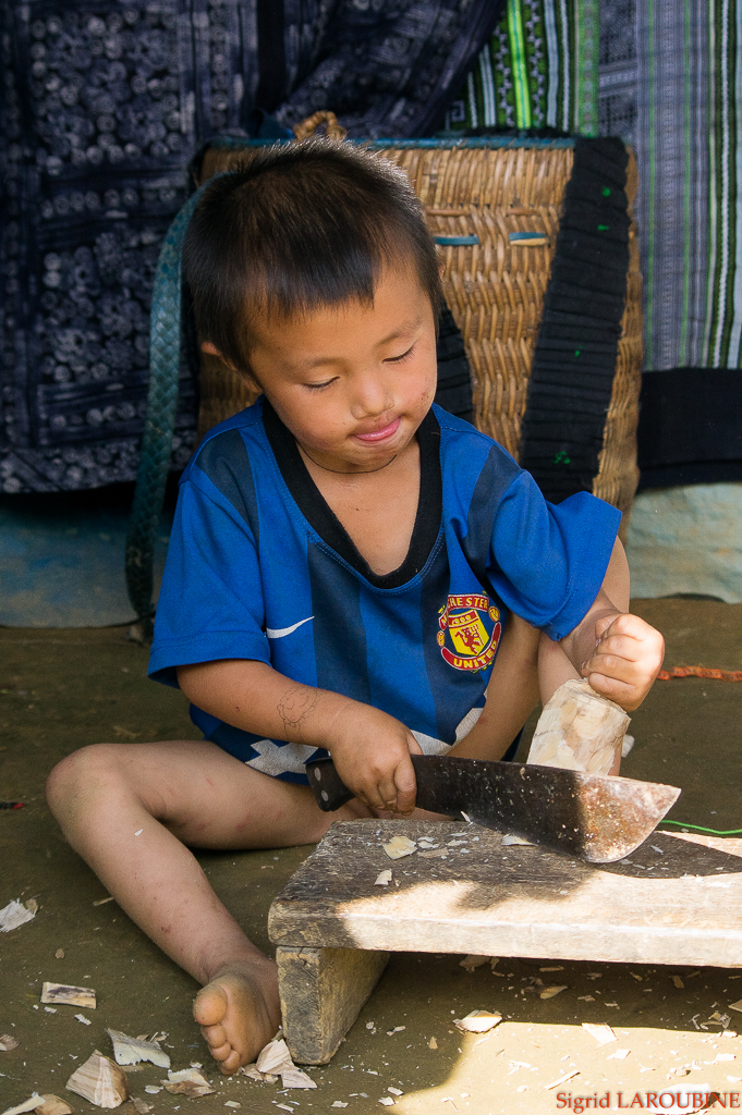 Sapa ( _IMG5308 )