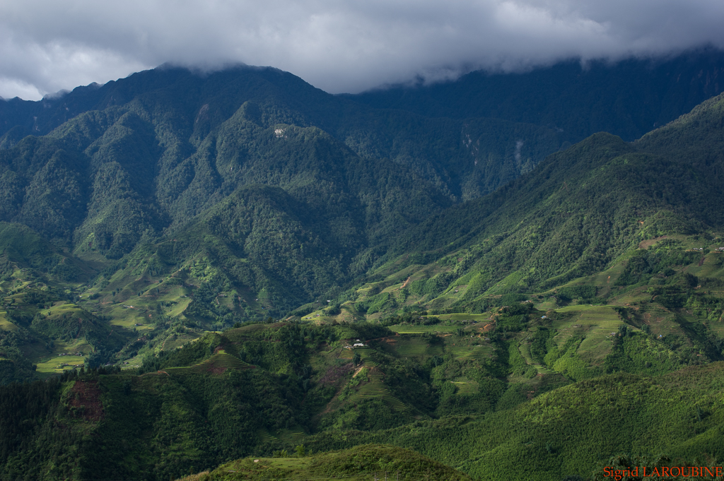 Sapa ( _IMG5685 )