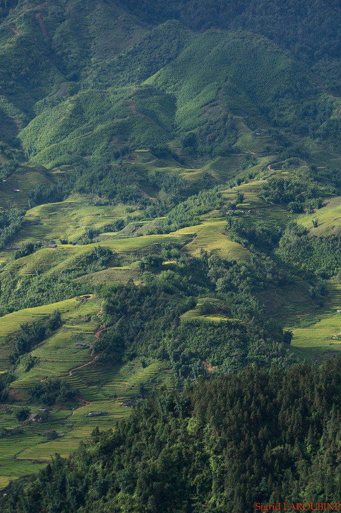 Sapa ( _IMG5695 )