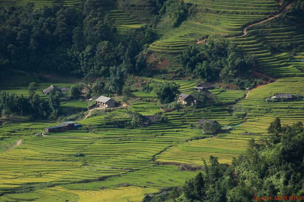 Sapa ( _IMG5703 )