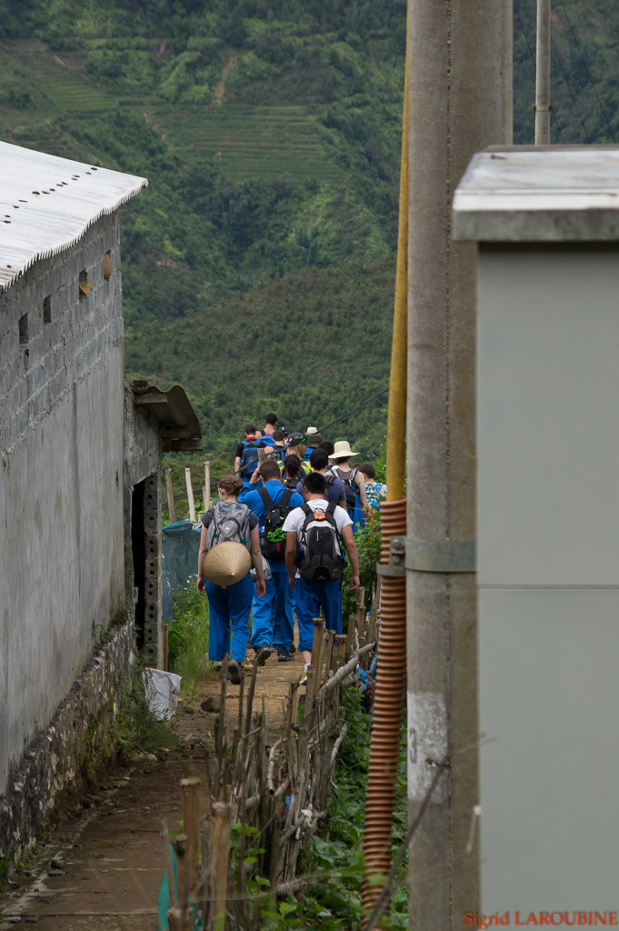 Sapa ( _IMG5753 )