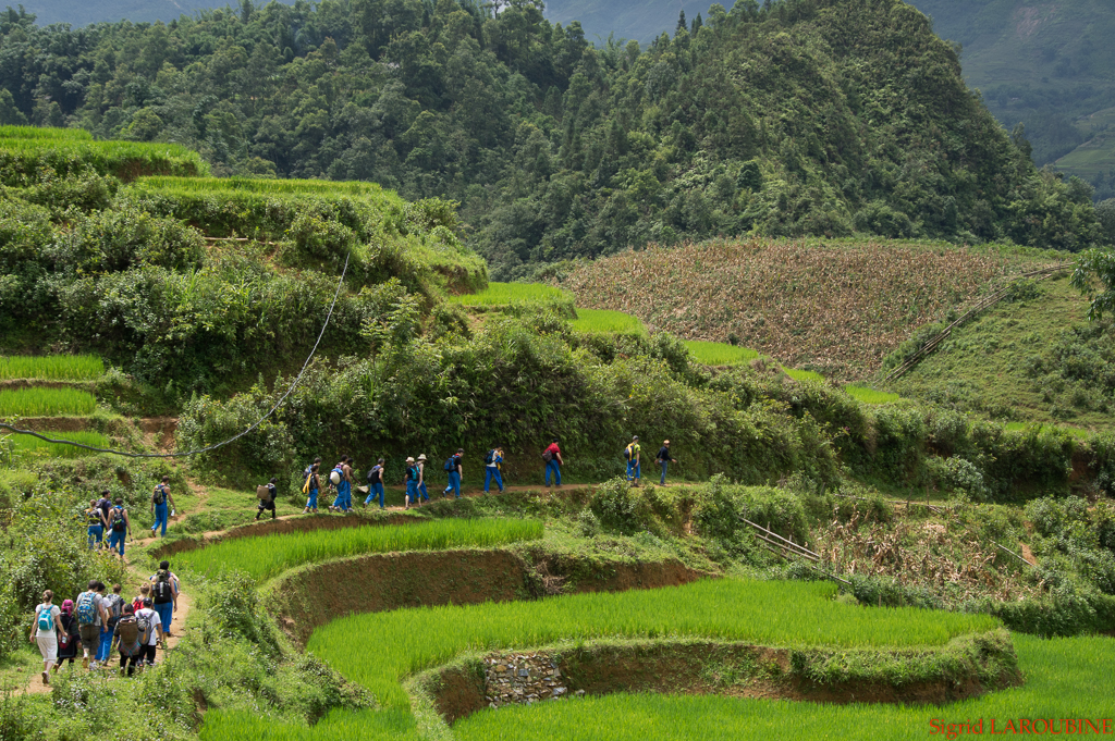 Sapa ( _IMG5776 )