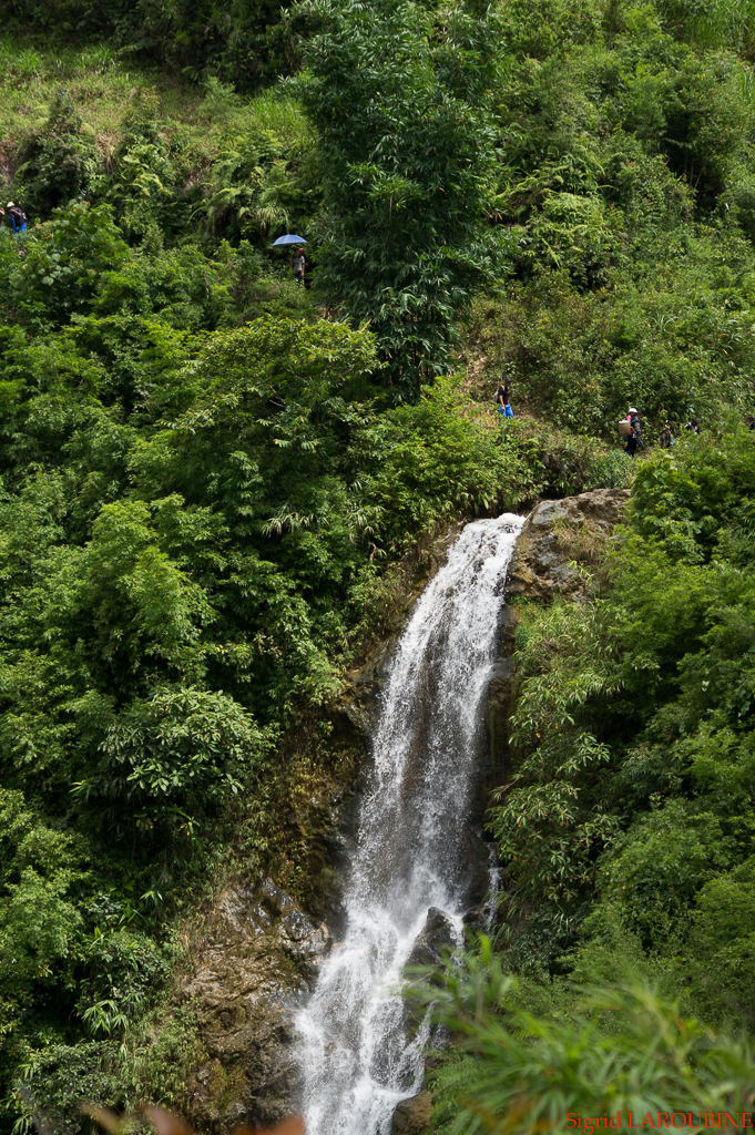 Sapa ( _IMG5785 )